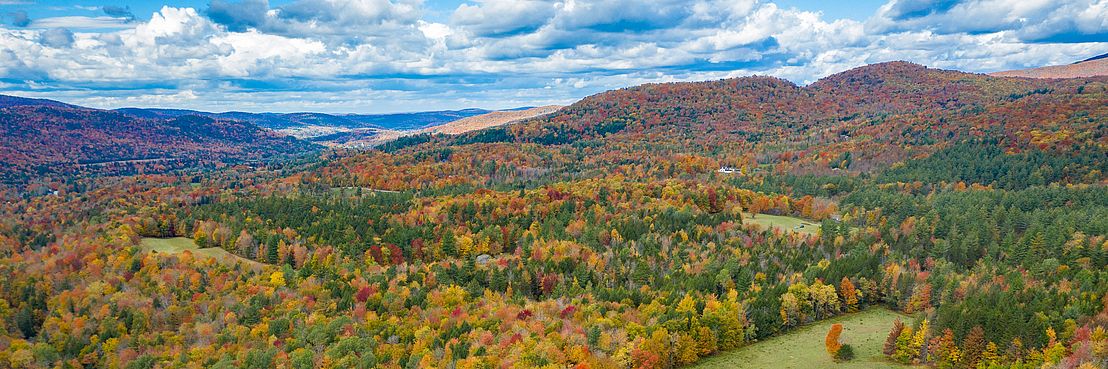 Barred Woods maple produces maple products in Northern Vermont.