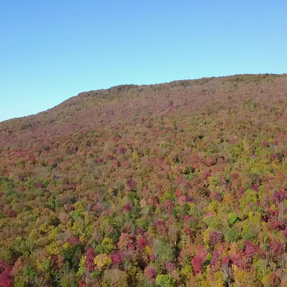 Preserving a Special Place
