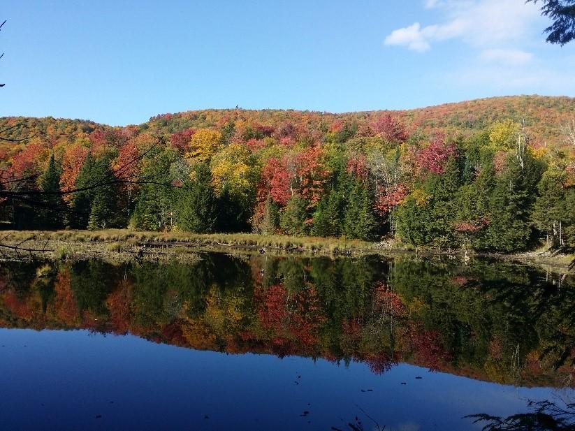 Barred Woods Maple Completes Purchase and Conservation of 450 Acres in Northern Vermont - Barred Woods Maple